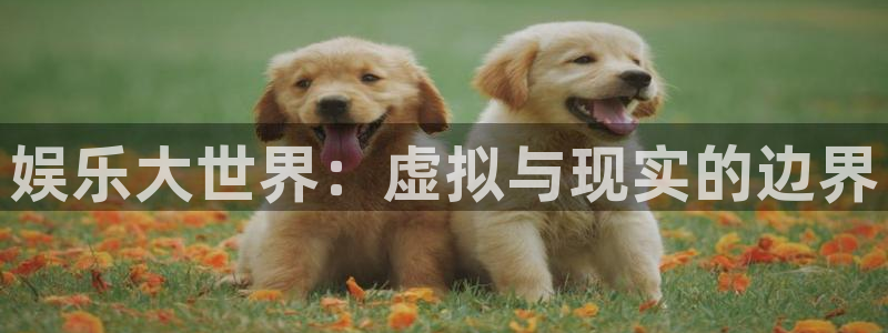 百达娱乐：娱乐大世界：虚拟与现实的边界