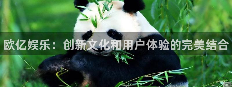 百达娱乐：欧亿娱乐：创新文化和用户体验的完美结合