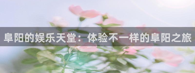 百达娱乐：阜阳的娱乐天堂：体验不一样的阜阳之旅