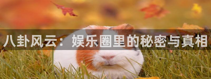 百达娱乐：八卦风云：娱乐圈里的秘密与真相