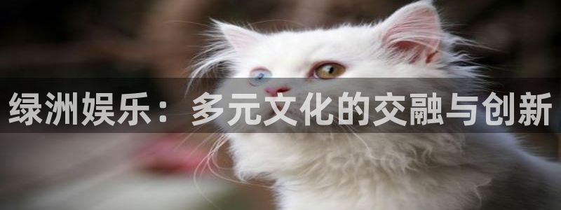 百达娱乐：绿洲娱乐：多元文化的交融与创新