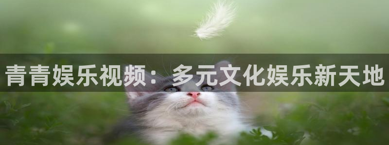 百达娱乐：青青娱乐视频：多元文化娱乐新天地