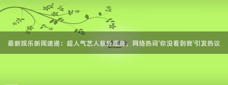 百达娱乐：最新娱乐新闻速递：超人气艺人意外现身，网络热词\'你没看到我\'引发热议