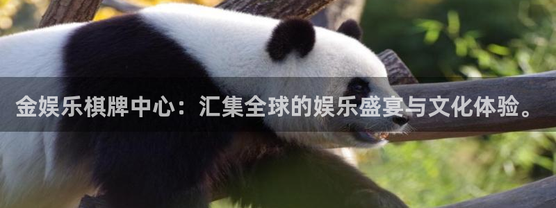百达娱乐：金娱乐棋牌中心：汇集全球的娱乐盛宴与文化体验。