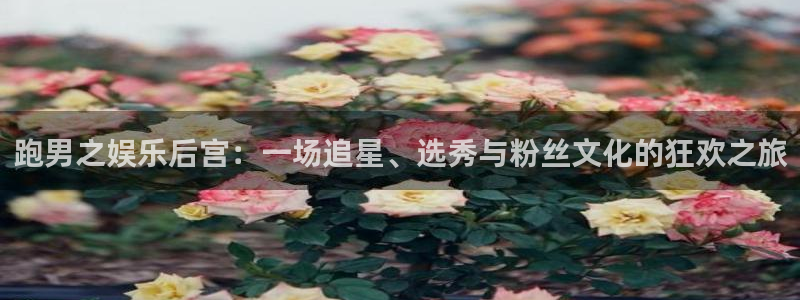百达娱乐：跑男之娱乐后宫：一场追星、选秀与粉丝文化的狂欢之旅