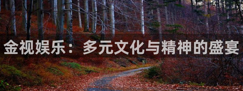 百达娱乐：金视娱乐：多元文化与精神的盛宴