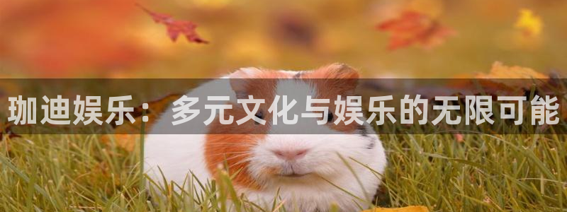 百达娱乐：珈迪娱乐：多元文化与娱乐的无限可能